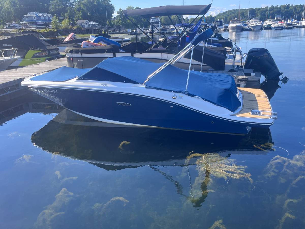 2019 Sea Ray, Import USA — Foto 5 z 12