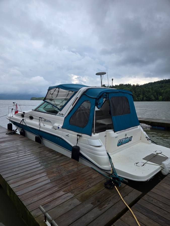 1995 Sea Ray, Import USA — Foto 1