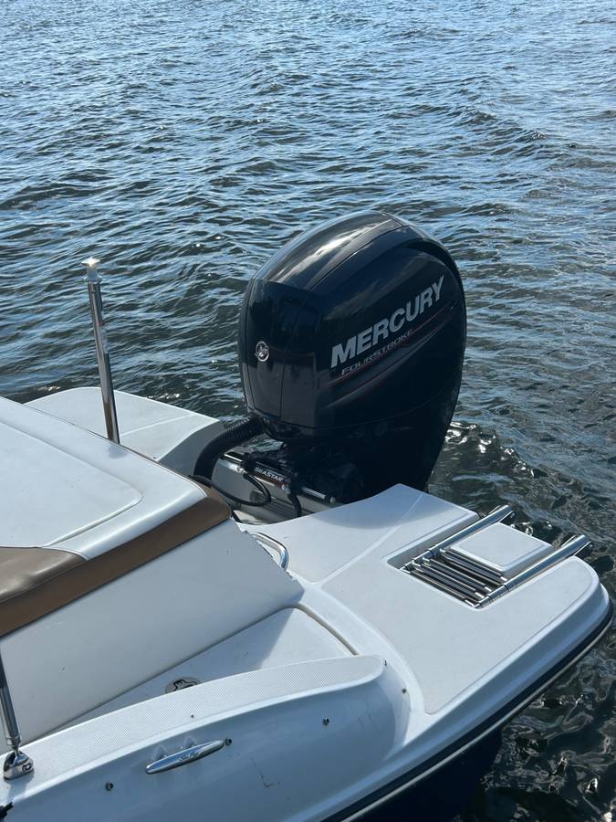 Sea Ray, Import USA — Foto 2 z 8