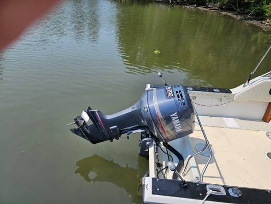 Boston Whaler, Import USA — Foto 2 z 4