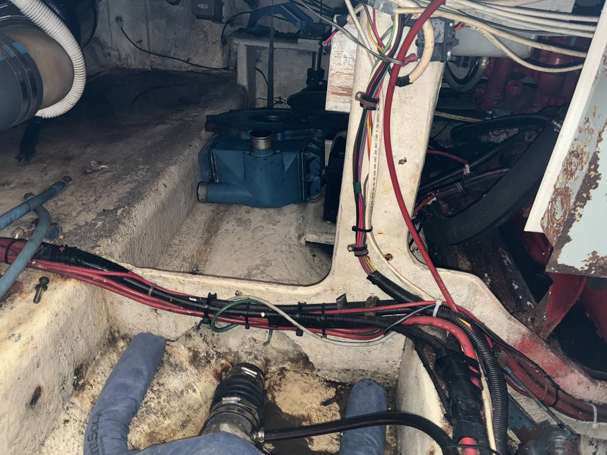 1986 Bayliner, Import USA — Foto 4 z 12