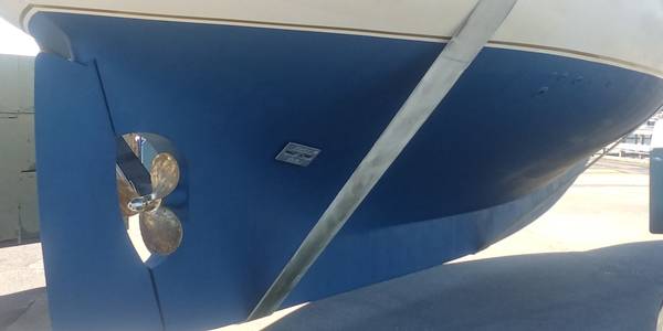 Boston Whaler, Import USA — Foto 7 z 12