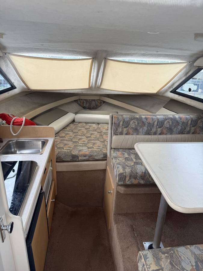 Bayliner, Import USA — Foto 11 z 12