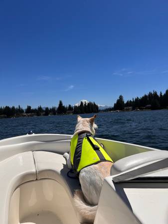 Bayliner, Import USA — Foto 6 z 6