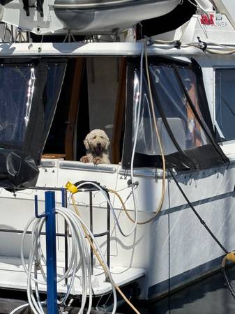 40’Tri Cabin Trawler, Import USA — Foto 4 z 12