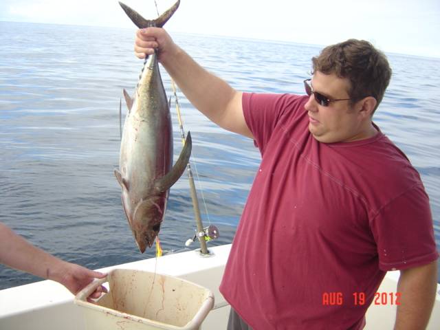 2005 Bayliner, Import USA — Foto 11 z 12
