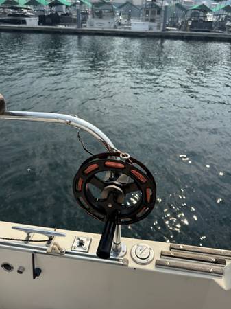 1983 Bayliner, Import USA — Foto 11 z 12