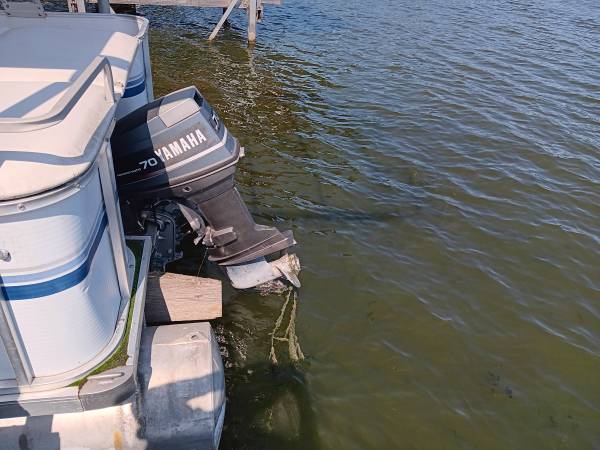Pontoon boat, Import USA — Foto 6 z 9