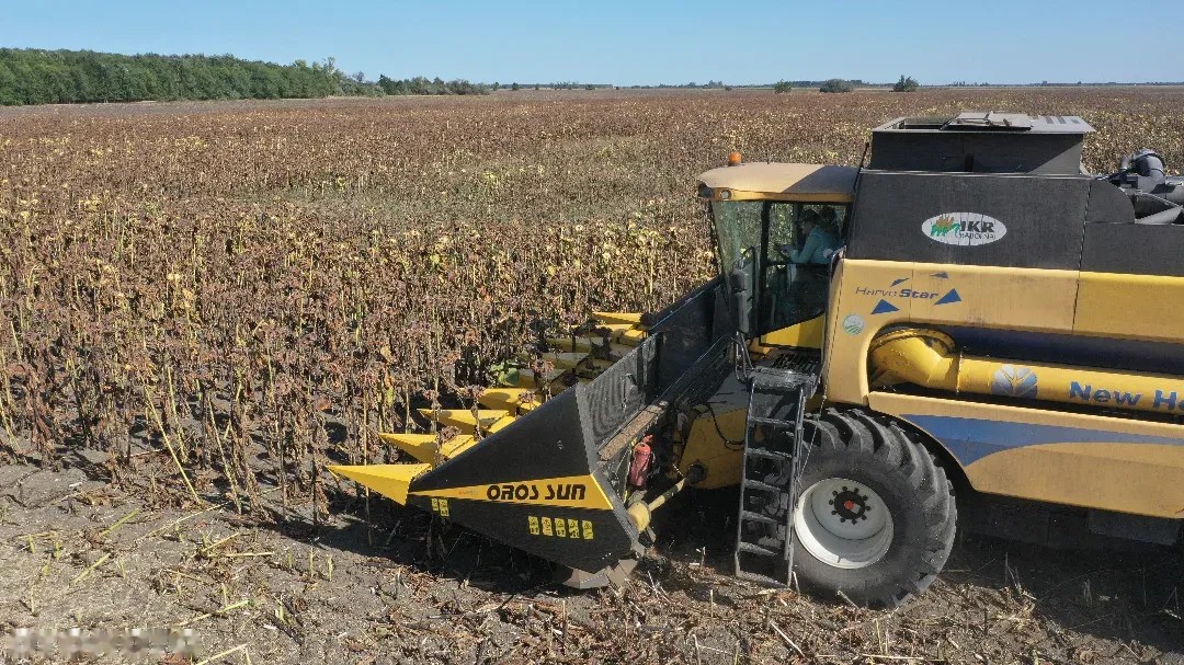 2022 Oros SUN, Import Auf Lager in der EU — Foto 6 z 16