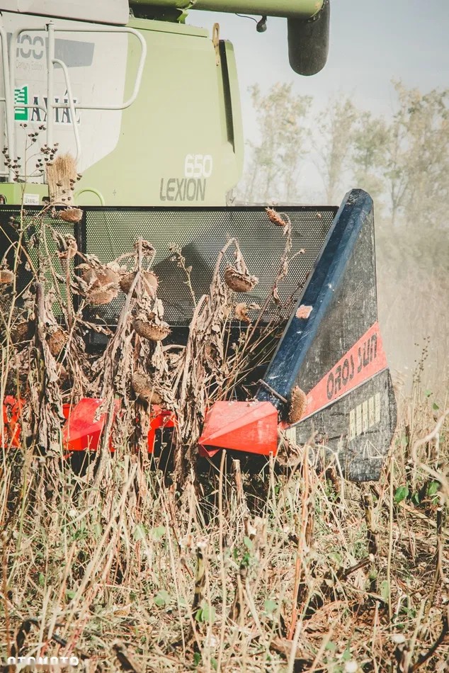 2022 Oros SUN, Import Auf Lager in der EU — Foto 6 z 14