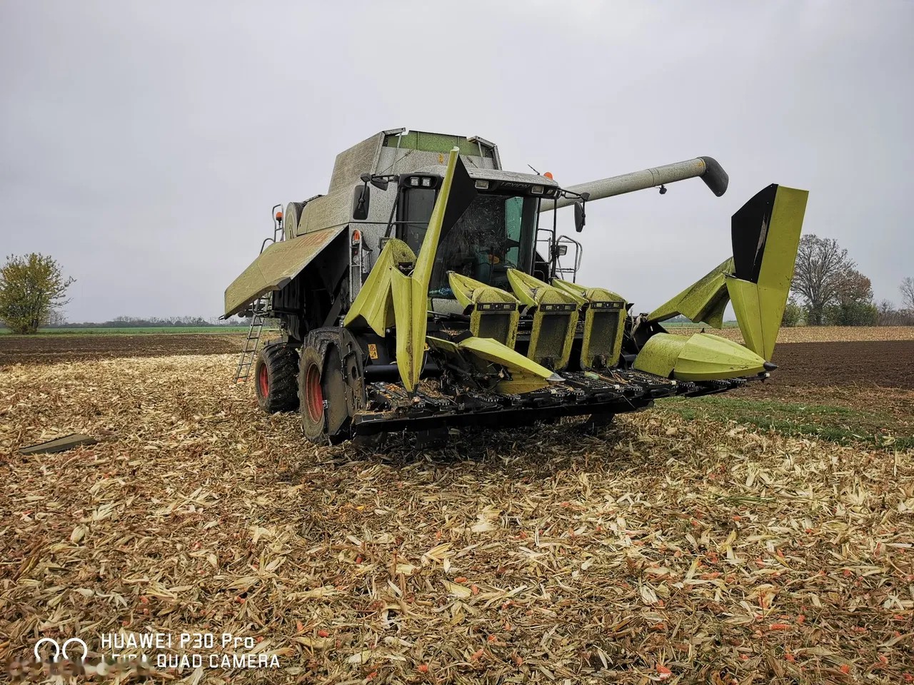 2023 Oros CORNADO, Import Auf Lager in der EU — Foto 7 z 12