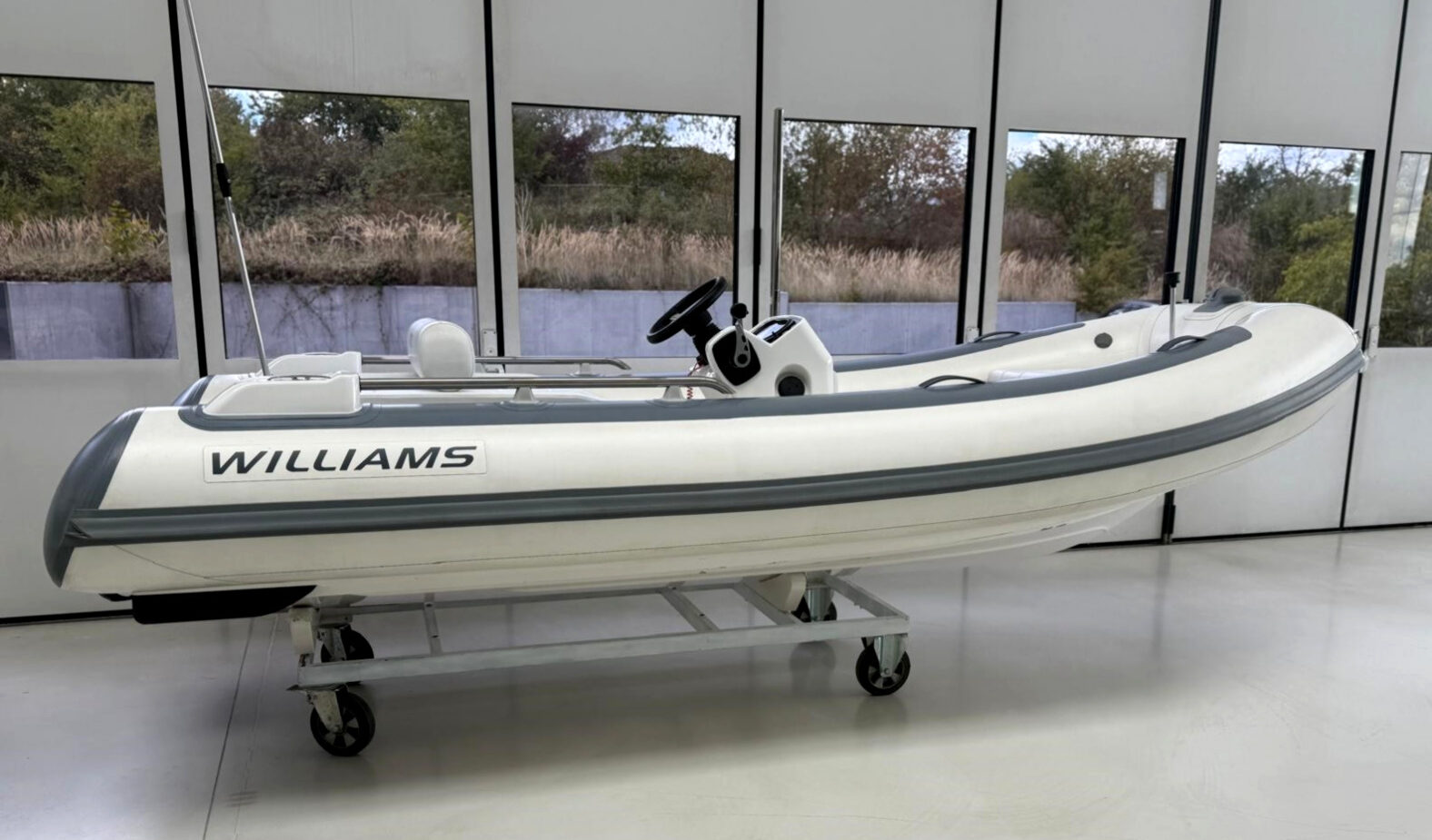 2023 Williams, Import Auf Lager in der EU — Foto 2 z 7