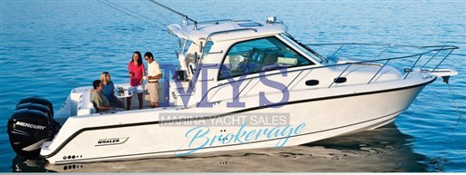 2008 Boston Whaler, Import Auf Lager in der EU — Foto 1 | AMECAR 2008 Boston Whaler, Import Auf Lager in der EU — Foto 1