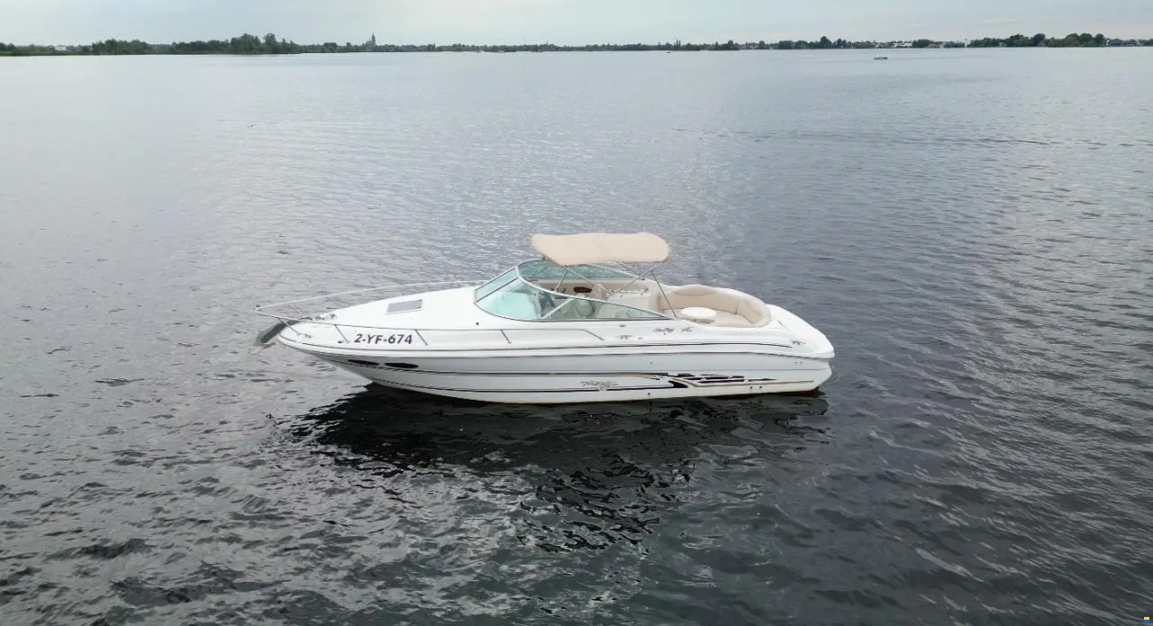 Sea Ray, Import Auf Lager in der EU — Foto 1 | AMECAR Sea Ray, Import Auf Lager in der EU — Foto 1
