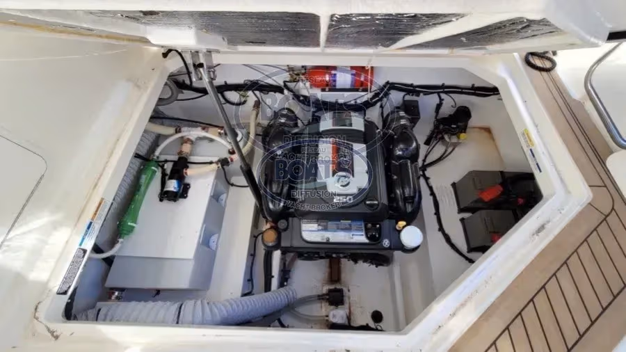 Bayliner, Import Auf Lager in der EU — Foto 15 z 20