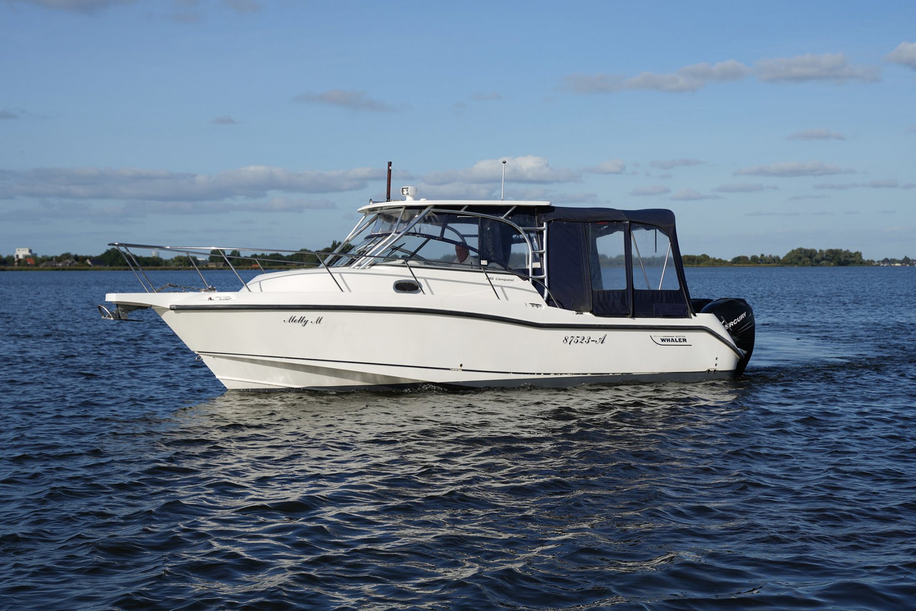2007 Boston Whaler, Import Auf Lager in der EU — Foto 3 z 20
