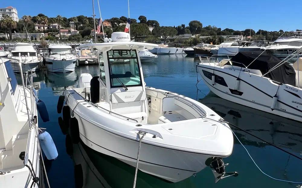 2008 Boston Whaler, Import Auf Lager in der EU — Foto 1 | AMECAR 2008 Boston Whaler, Import Auf Lager in der EU — Foto 1