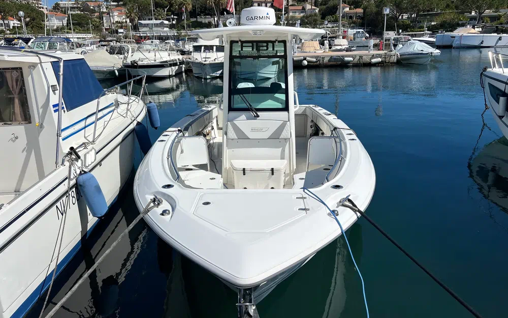 2008 Boston Whaler, Import Auf Lager in der EU — Foto 2 z 20
