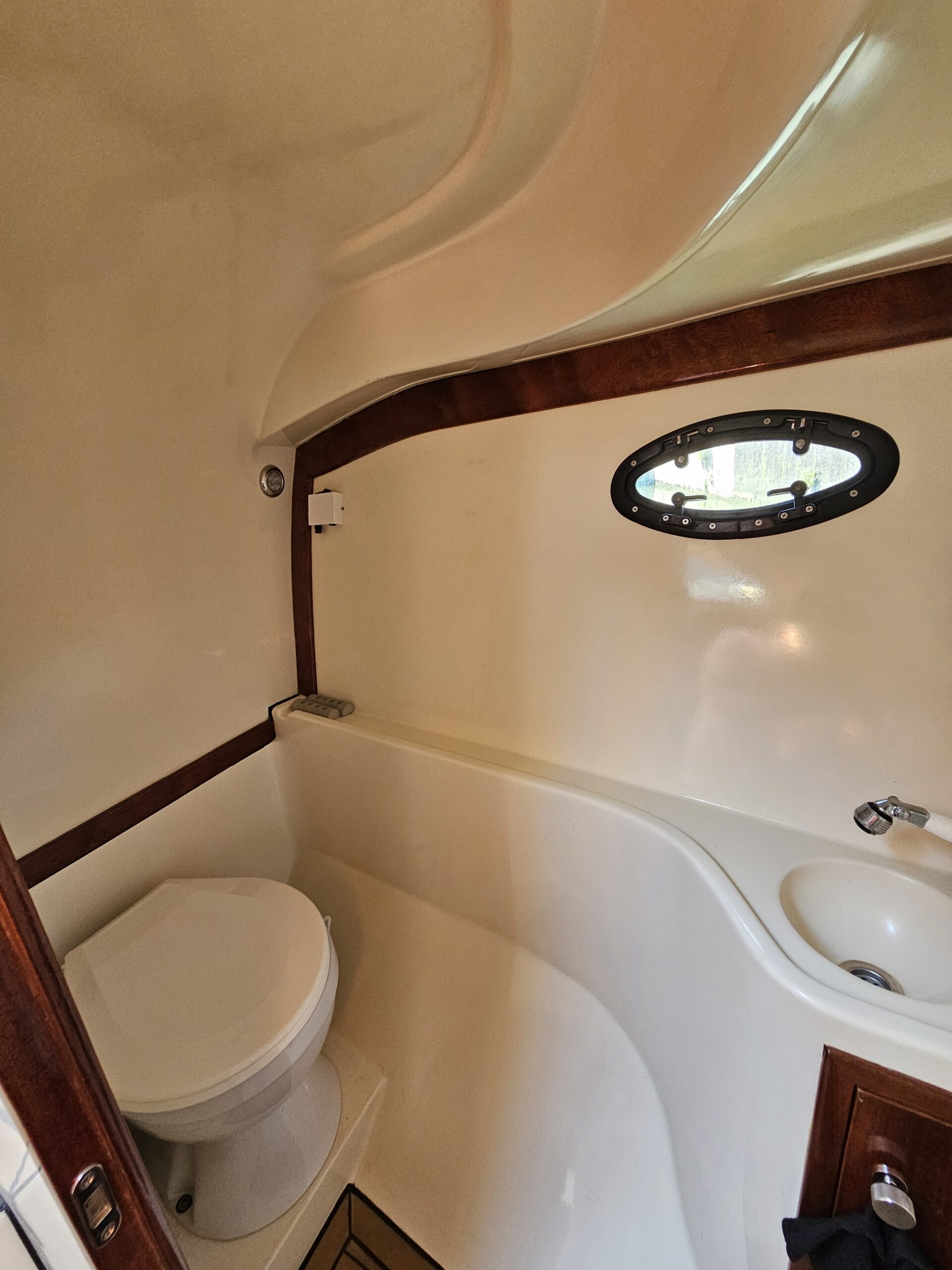2019 31 Bosphorus, Import Auf Lager in der EU — Foto 5 z 20