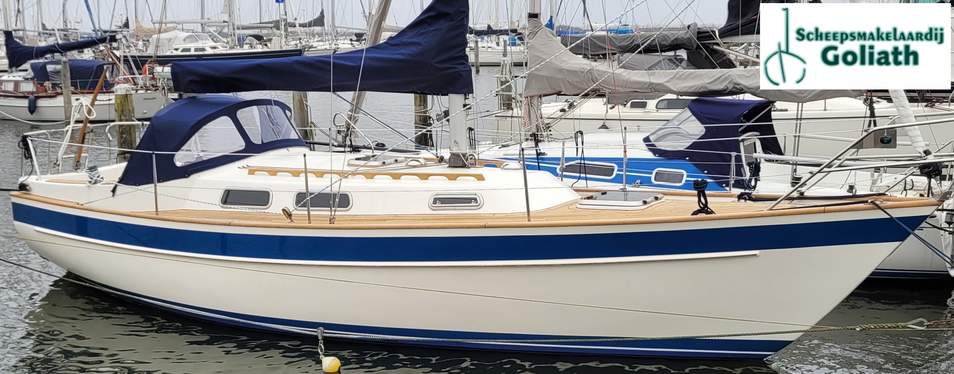 2023 D1-20F, Import Auf Lager in der EU — Foto 1