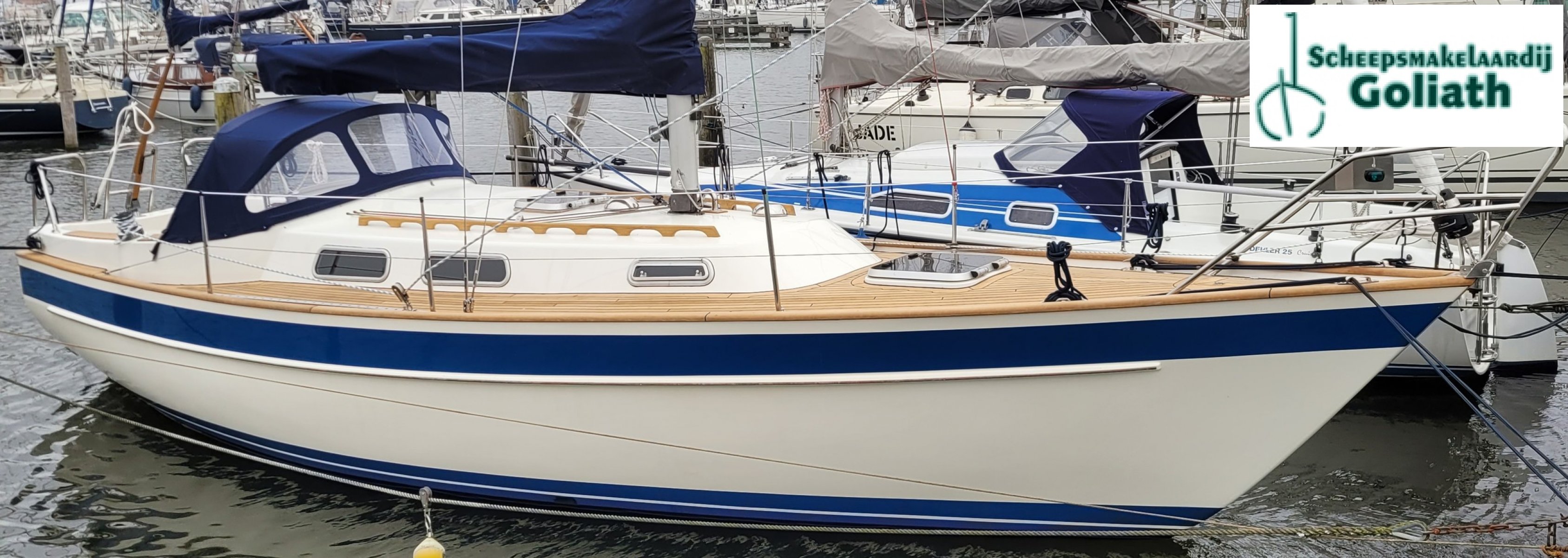 2023 D1-20F, Import Auf Lager in der EU — Foto 4 z 20
