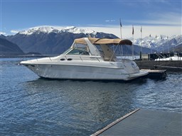 2000 Sea Ray, Import Auf Lager in der EU — Foto 7 z 20