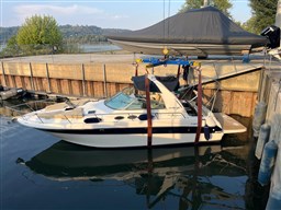 1998 Sea Ray, Import Auf Lager in der EU — Foto 1 | AMECAR 1998 Sea Ray, Import Auf Lager in der EU — Foto 1