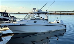 Boston Whaler, Import Auf Lager in der EU — Foto 1 | AMECAR Boston Whaler, Import Auf Lager in der EU — Foto 1