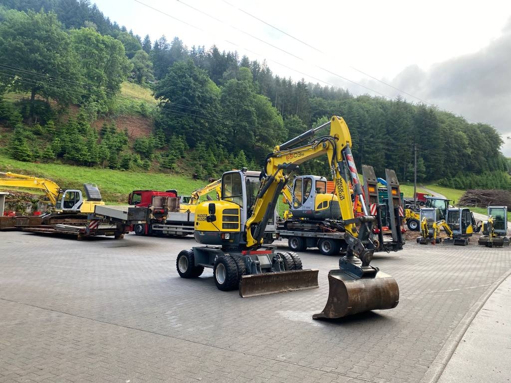 2013 Wacker Neuson 6503, Import Auf Lager in der EU — Foto 1 | AMECAR 2013 Wacker Neuson 6503, Import Auf Lager in der EU — Foto 1