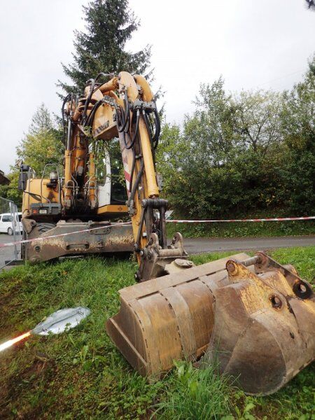 2011 Liebherr, 10.950 mth, Import Auf Lager in der EU — Foto 6 z 16
