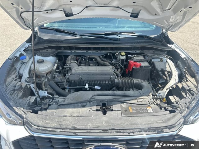 2025 Ford Escape Active, weiß, 59.155 km, Import Kanada — Foto 15 z 20