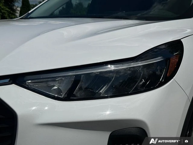 2025 Ford Escape Active, grau, 53.337 km, Import Kanada — Foto 13 z 20